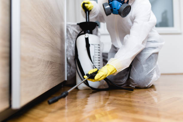 Insect Control in Taylors, SC