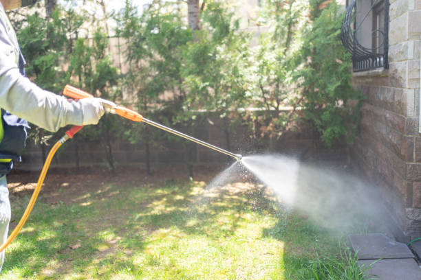 Best Pest Prevention Services  in Taylors, SC