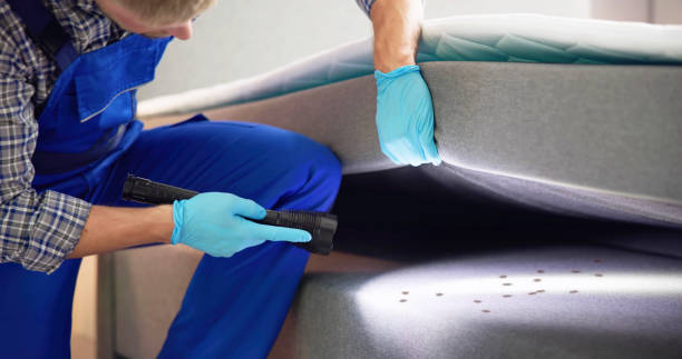 Best Mosquito Control Services  in Taylors, SC