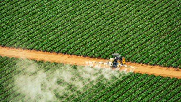 Best Best Pest Control Companies  in Taylors, SC