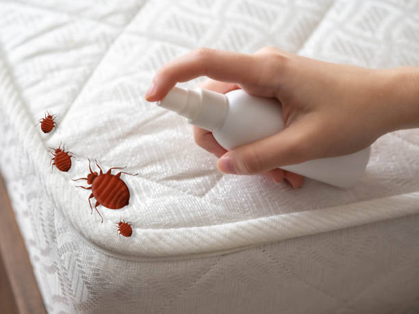 Best Pest Control Near Me  in Taylors, SC