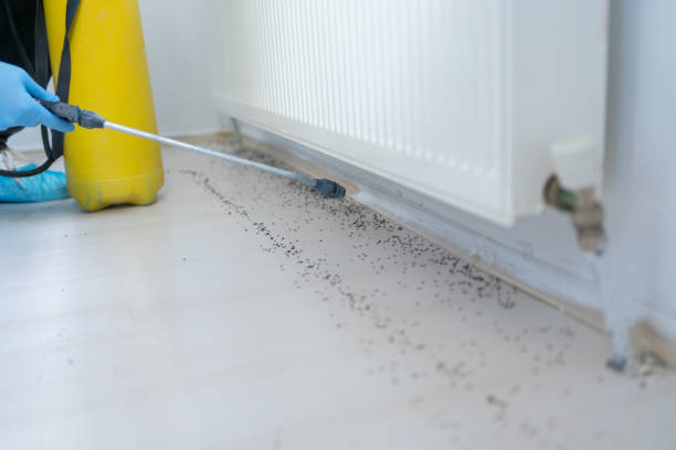 Trusted Taylors, SC Pest Control Experts
